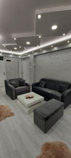 Studio apartman Elena - Banja Koviljača - 3