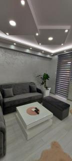 Studio apartman Elena - Banja Koviljača - 2