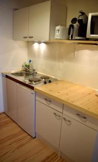 Gosau Apartment 209 - Gosau - 1