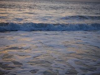 Zilt7 - Callantsoog - 4