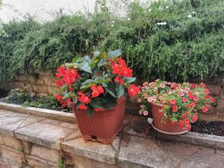 APP Carla - Novigrad Istria - 5