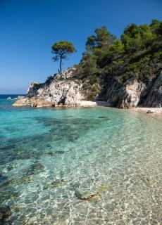 Bosporus Apartments - Sarti - 6