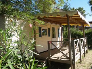 Camping Les Palmiers - Hyères - 9