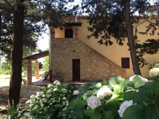 Agriturismo Fattoria Il Piano - Casa Tosca - San Gimignano - San Gimignano - 2