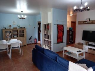 Quinta do Bosque - Vagos - 7