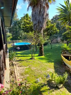 Quinta do Bosque - Vagos - 3