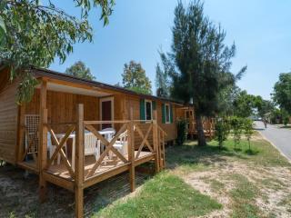 Camping Les Palmiers - Hyères - 8