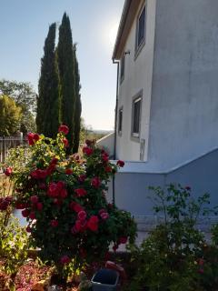 Apartmani Franka - Rovinjsko Selo - 7