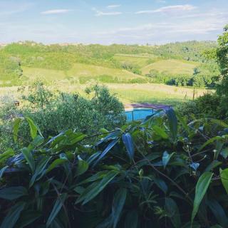 Agriturismo Le Tre Pietre - Podere nel Chianti - Quercegrossa - 4