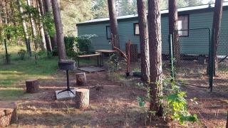 Beautiful holiday home near the pine forest - 1