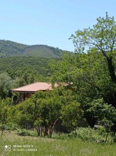 Smještaj Elena - Budua - 2