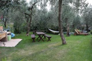 Apartments in Malcesine - Gardasee 22034 - Malcesine - 2