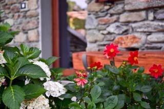 La Roggia - Ancient Molino Maufet Watermill on Lake Como - Patio on the garden - Colico - 9