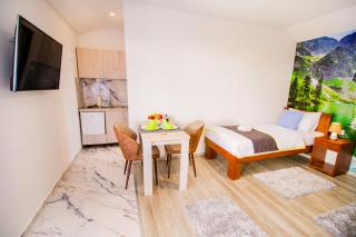 Simo apartments airport Podgorica - 4