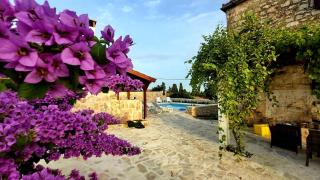 Villa Roza - Srednje Selo na Šolti - 4