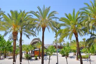 134 Apartamento Pins-Tugores by Mallorca Charme - Port d'Alcudia - 8