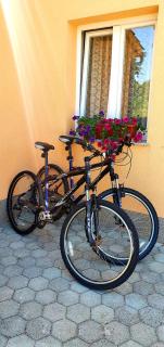 Apartmani Natalija i Zala - Vodice - 5