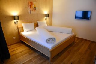 Hotel Steinbock Vals - Vals - 9