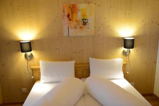 Hotel Steinbock Vals - Vals - 8