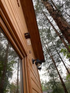 Lasoterapia (Foresttherapy) - Sopieszyno - 3