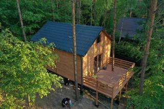 Lasoterapia (Foresttherapy) - Sopieszyno - 0