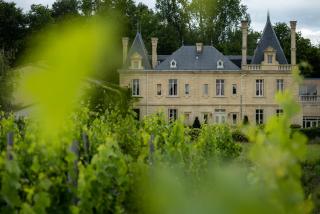Château Meyre - Avensan - 9