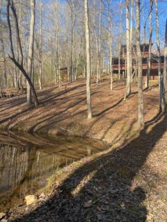 Tranquility Pond - Morganton - 9