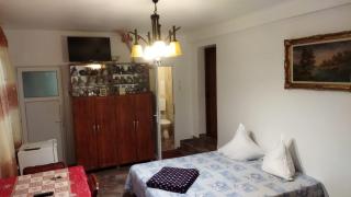 Casa din Gradina - 9