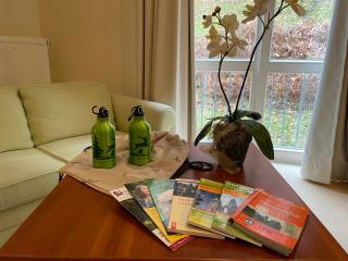 Landhaus Hirschsprung - Detmold - 6