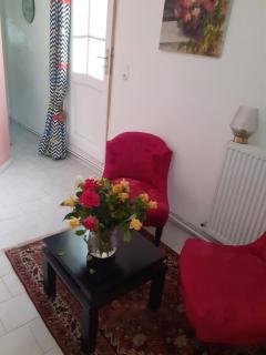 Perona gîte visite Châteaux de Loire et zoo parc Beauval - 4