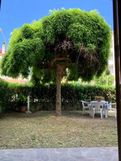 La casa del salice - Francavilla al Mare - 7