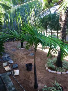 Casa na Praia de Muriu - Andréia - 2