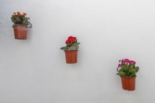 Apartment La Gitanilla terrace - 2