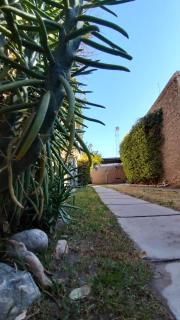 Pequeña Allegra - 7