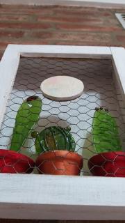 Pequeña Allegra - 1