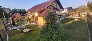 Rafi House Relax i Spa dom koło Szczyrku - Szczyrk - 5