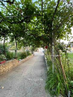 Apartmani Miro Trebinje - Trebinje - 1
