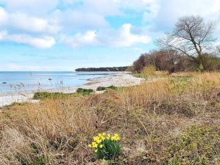 Beachfront Bliss in Snogebaek - By Traum Ferienwohnungen - 6