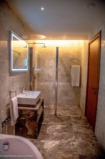 Charleson Luxury Hotel - 7