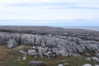 Ocean Front House in Cook's Harbour Newfoundland - 6