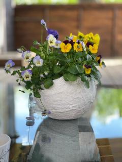 Vacation House Terraces - 6