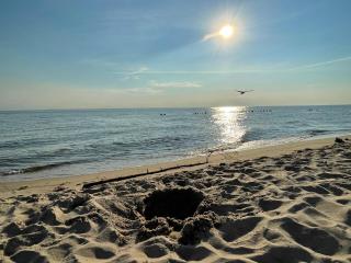 Apartament Seagull 30m2 (300 meters to the sea) - Hel - 7