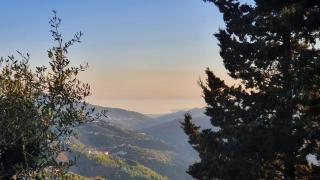 Studio apartment Bentomiz with beautiful views - Cómpeta - 5