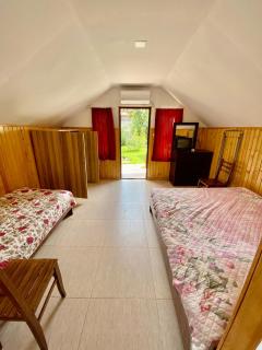 Cabins in Magnetiti, Ureki - Ureki - 7