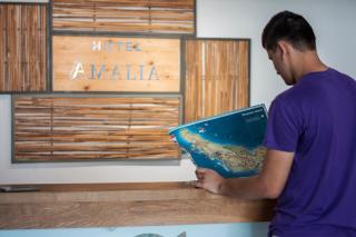 Amalia Hotel - Skopelos - 2