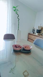 Apartman Jelena - Podstrana - 3