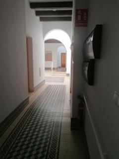 APARTAMENTO PALO CORTAO - Jerez de la Frontera - 9
