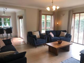 Lakeside Cottage - Killaloe - 4