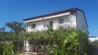 Levak Apartments - Apt.3 - Pješčana Uvala - 0