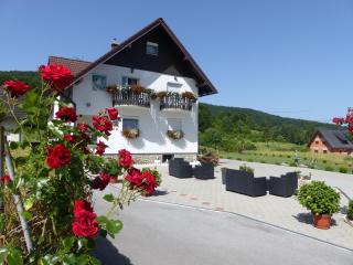 House Pox 2 - Plitvička Jezera - 6